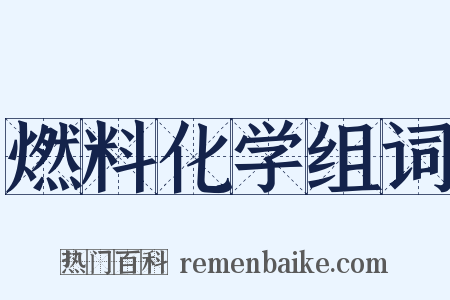 燃料化学组词是什么意思的图片